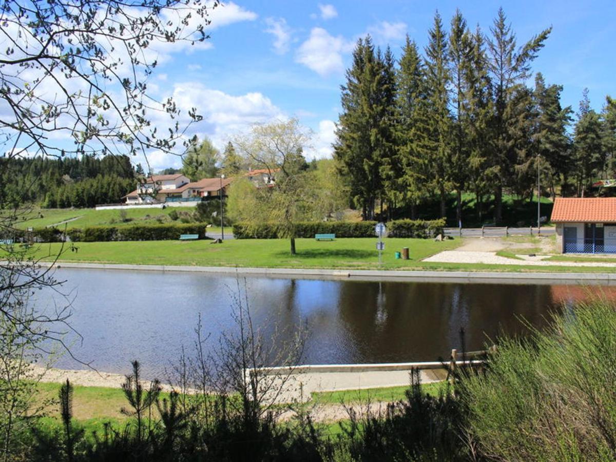 Gite Avec Cheminee, Terrasse Et Wifi - Animaux Acceptes - Fr-1-496-163 Usson-en-Forez Exteriör bild