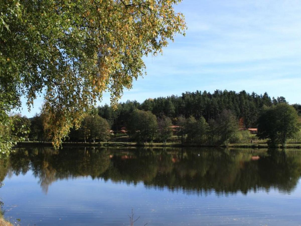 Gite Avec Cheminee, Terrasse Et Wifi - Animaux Acceptes - Fr-1-496-163 Usson-en-Forez Exteriör bild